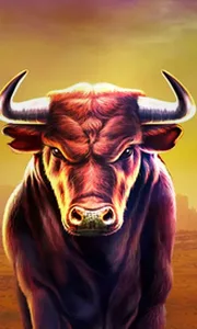 Black Bull